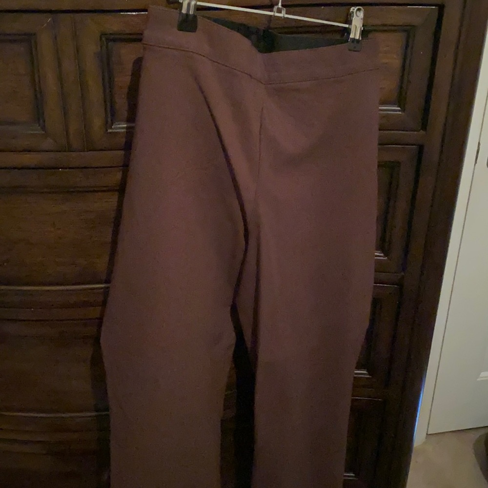 Brown Lane Bryant 22 short NWOT